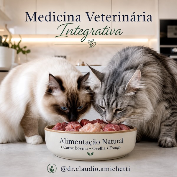 Doenças Relacionadas ao Consumo de Alimentos Ultraprocessados (Ração comercial) em Cães e Gatos