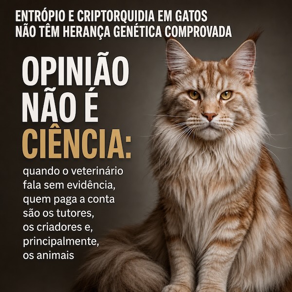 Entrópio em gatos domésticos (Felis catus): revisão crítica da evidência sobre a etiologia genética e hereditária, com ênfase comparativa entre Maine Coons e gatos sem raça definida