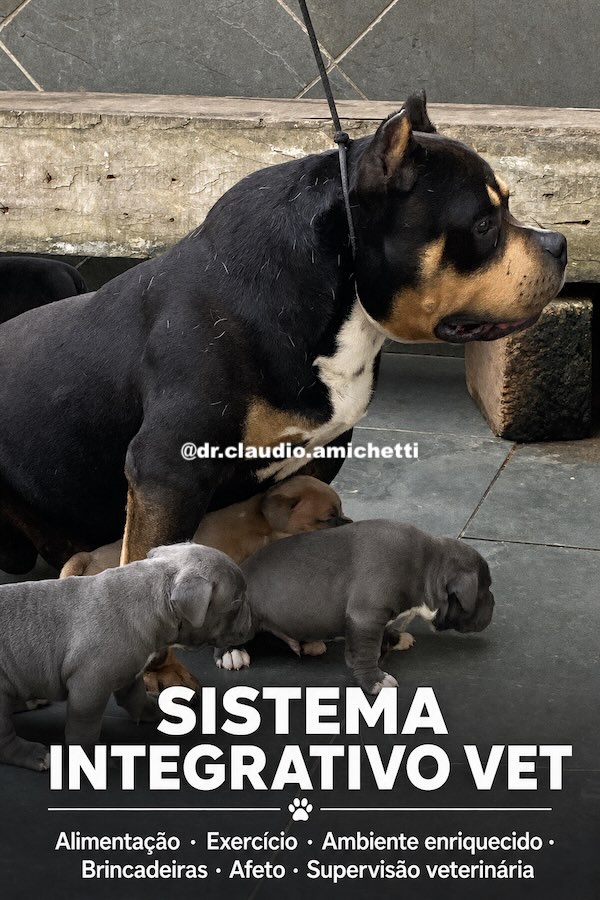 NUTRIÇÃO CLÍNICA E SAÚDE METABÓLICA EM CÃES E GATOS: ALIMENTAÇÃO REAL, RESISTÊNCIA À INSULINA E ESTRATÉGIAS INTEGRATIVAS