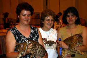 Marcia Paul, Marta Martinez, Lisi Amichetti-Gatil Amicats
